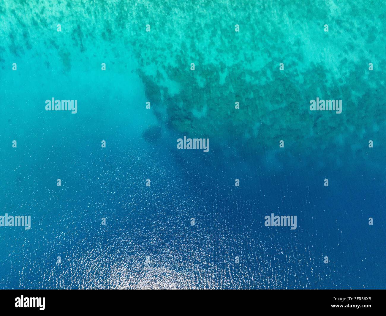 Eau bleue claire passant du récif peu profond à la mer profonde aux Philippines Banque D'Images