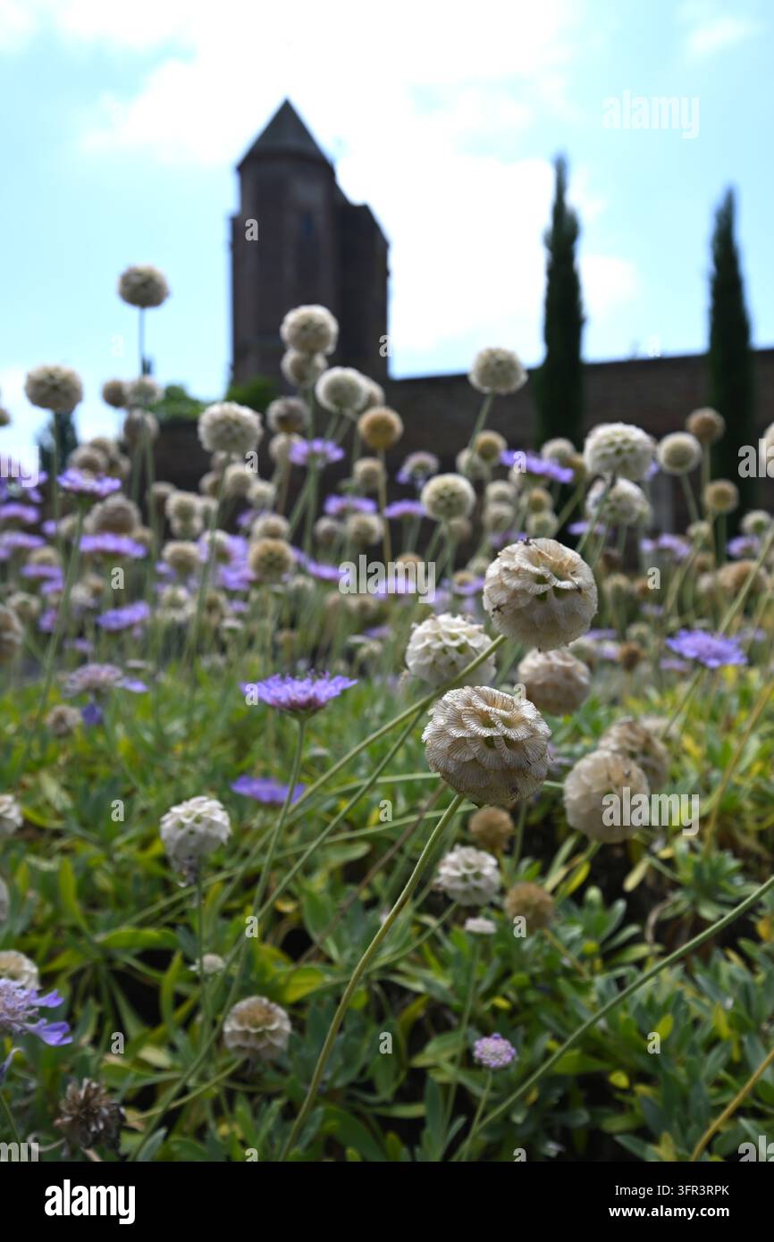 Le jardin Delos au Sissinghurst Castle Garden, Royaume-Uni en juillet Banque D'Images