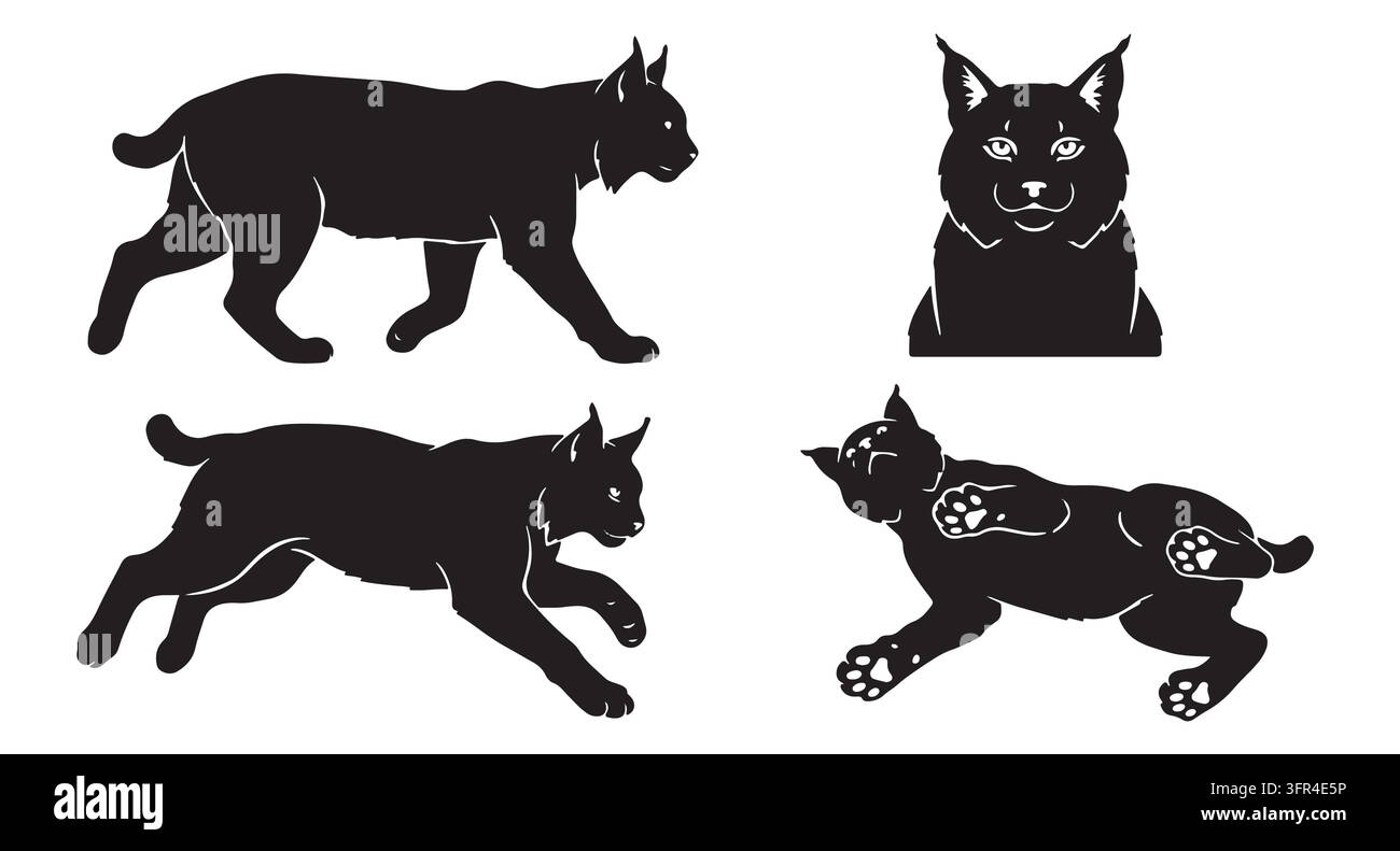Ensemble de silhouettes de lynx noir dans diverses poses de mouvement avec chat sauvage Illustration de Vecteur