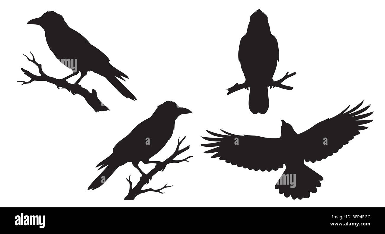 Silhouettes de corbeaux noirs dans différentes postures sur des branches et avec les ailes déployées Illustration de Vecteur