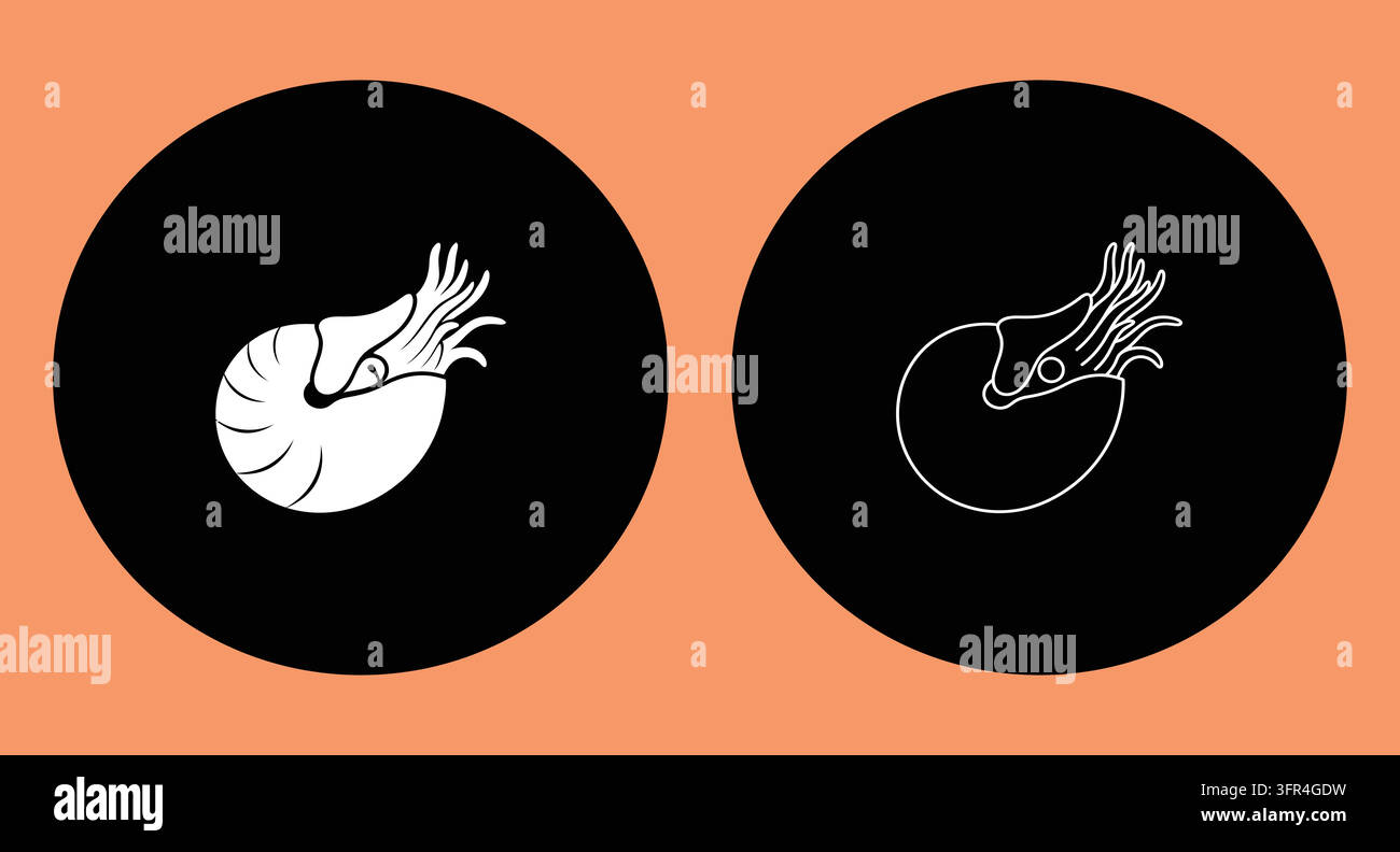 Ensemble d'icônes coquille de nautile avec des styles artistiques solides et linéaires Illustration de Vecteur
