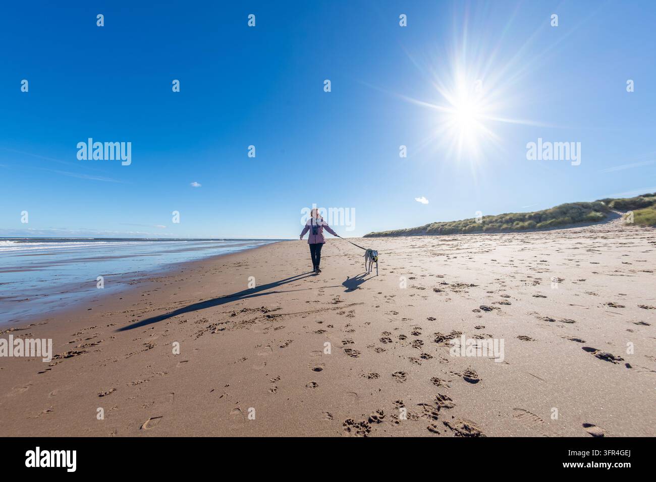 La personne profite d'une promenade paisible le long de la plage à marée basse avec son chien whippet sur la côte lors d'une journée ensoleillée à Cresswell. Banque D'Images