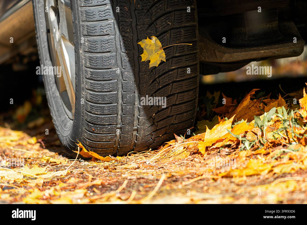 Gros plan du profil d'un pneu de voiture avec une feuille d'érable jaune sur une route d'automne Banque D'Images