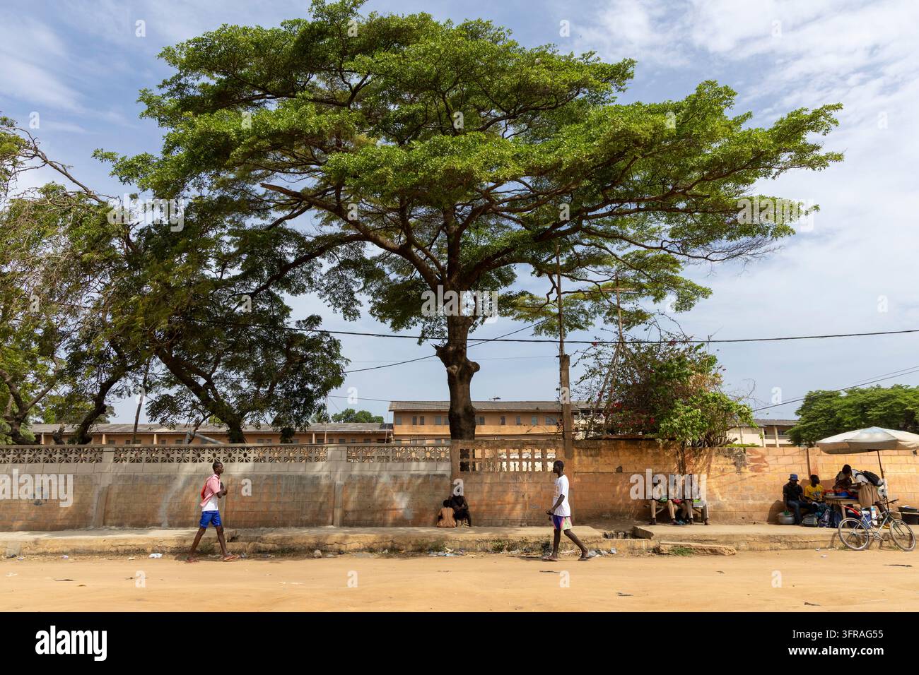 Un grand arbre ombragé se dresse le long d'une rue poussiéreuse où des piétons marchent et des vendeurs se reposent contre un mur, Région Maritime, Lomé, Togo Banque D'Images