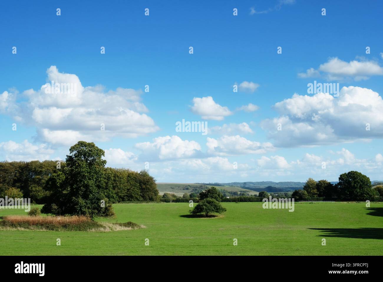 Riche terre cultivée, Wiltshire, Royaume-Uni Banque D'Images