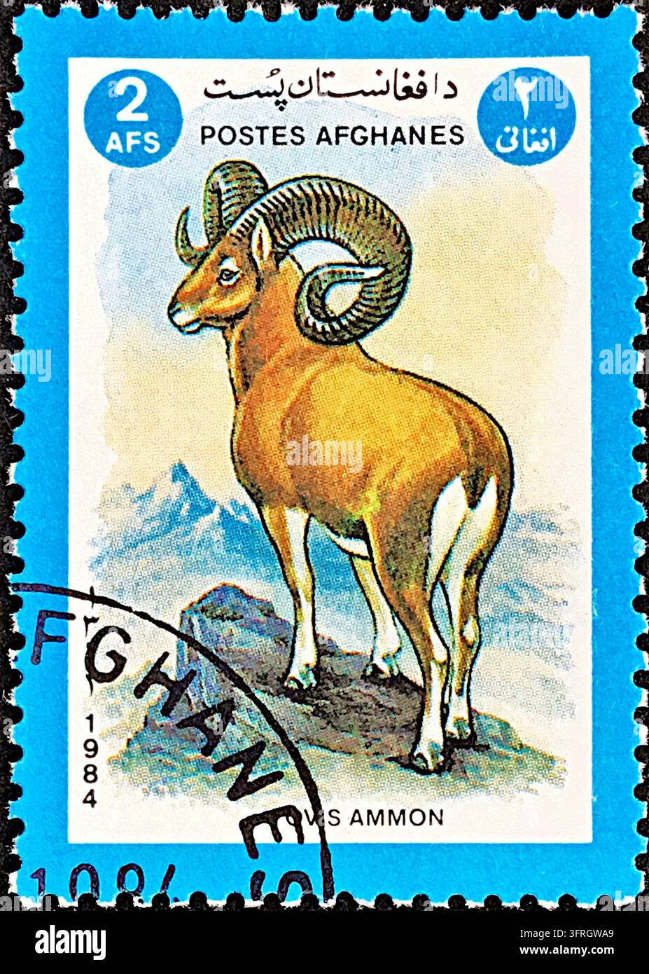 Timbre postal de l'Afghanistan de 1984 représentant un mouton des montagnes Argali Ovis Ammon, valeur nominale de 2 afghans, utilisé avec cachet d'oblitération Banque D'Images