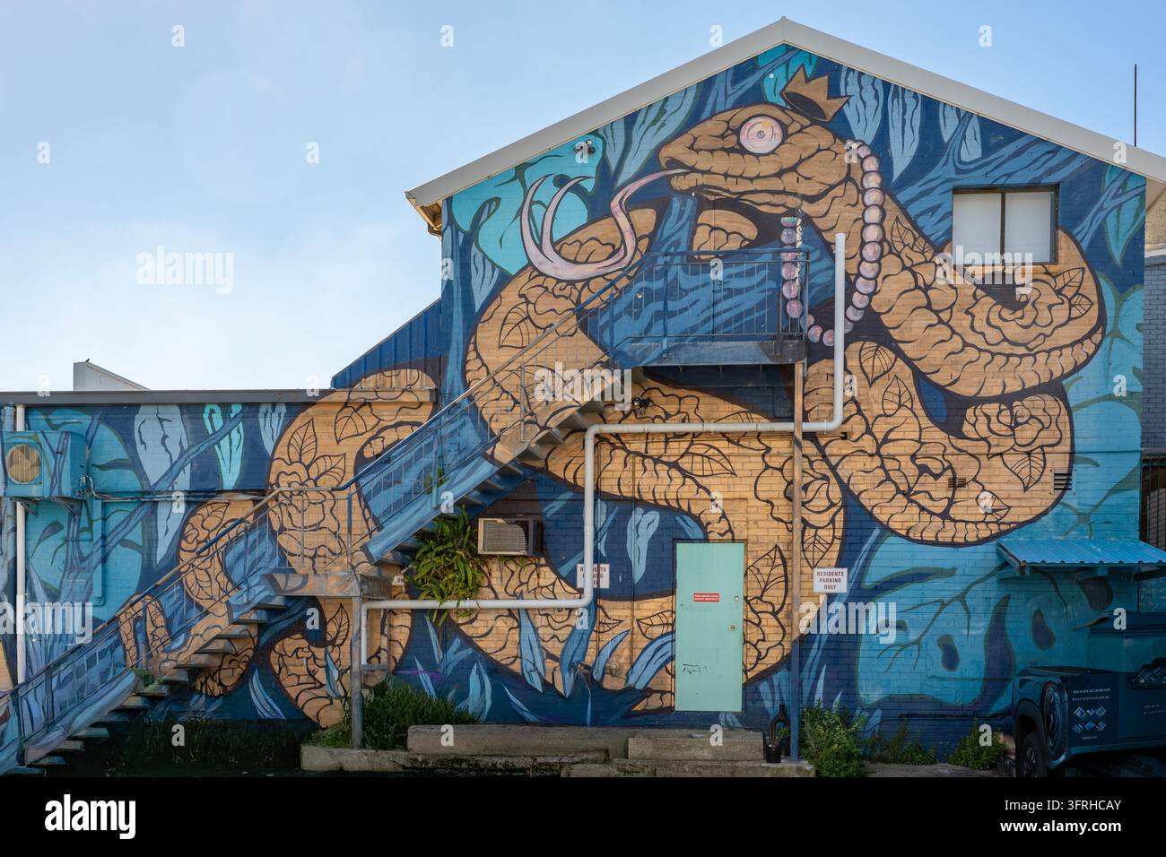 Art de rue Snek God King par Ox King, Cronulla, NSW, Australie Banque D'Images