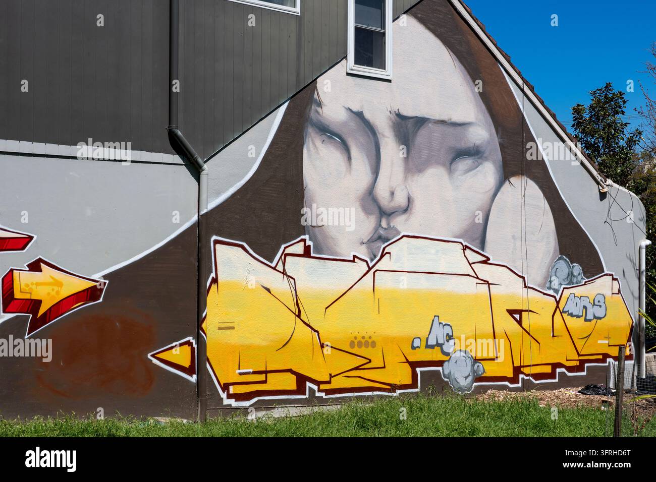 Art urbaine du visage blanc par Rone et Wonderlust, Surry Hills, NSW, Australie Banque D'Images