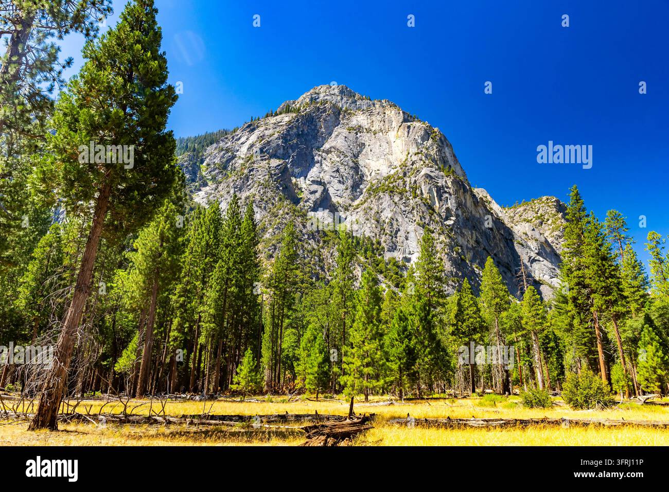 Zumwalt Meadows s'étend de manière pittoresque à travers le paysage panoramique du parc national de Kings Canyon Banque D'Images