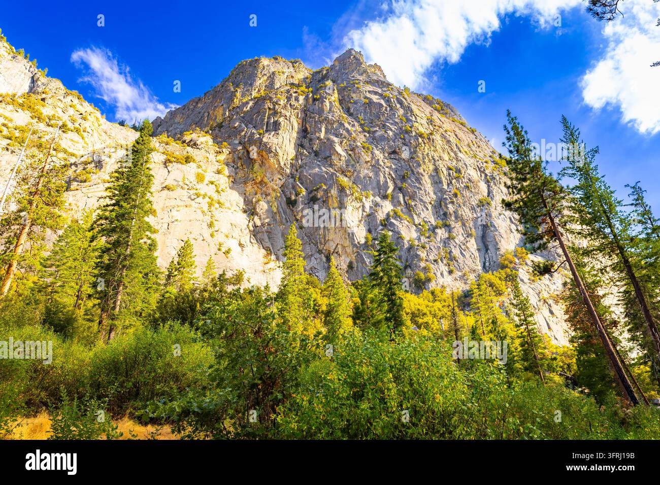 Le mont Palmer s'élève de manière pittoresque au-dessus des Zumwalt Meadows dans le parc national de Kings Canyon Banque D'Images