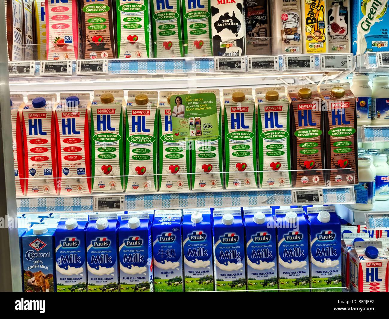Singapour, Singapour - 30 septembre 2025 : Vue rapprochée des produits d'épicerie des cartons de lait Marigold HL et Paul's dans un rayon réfrigéré, avec du lait écrémé, chocolat et fu Banque D'Images