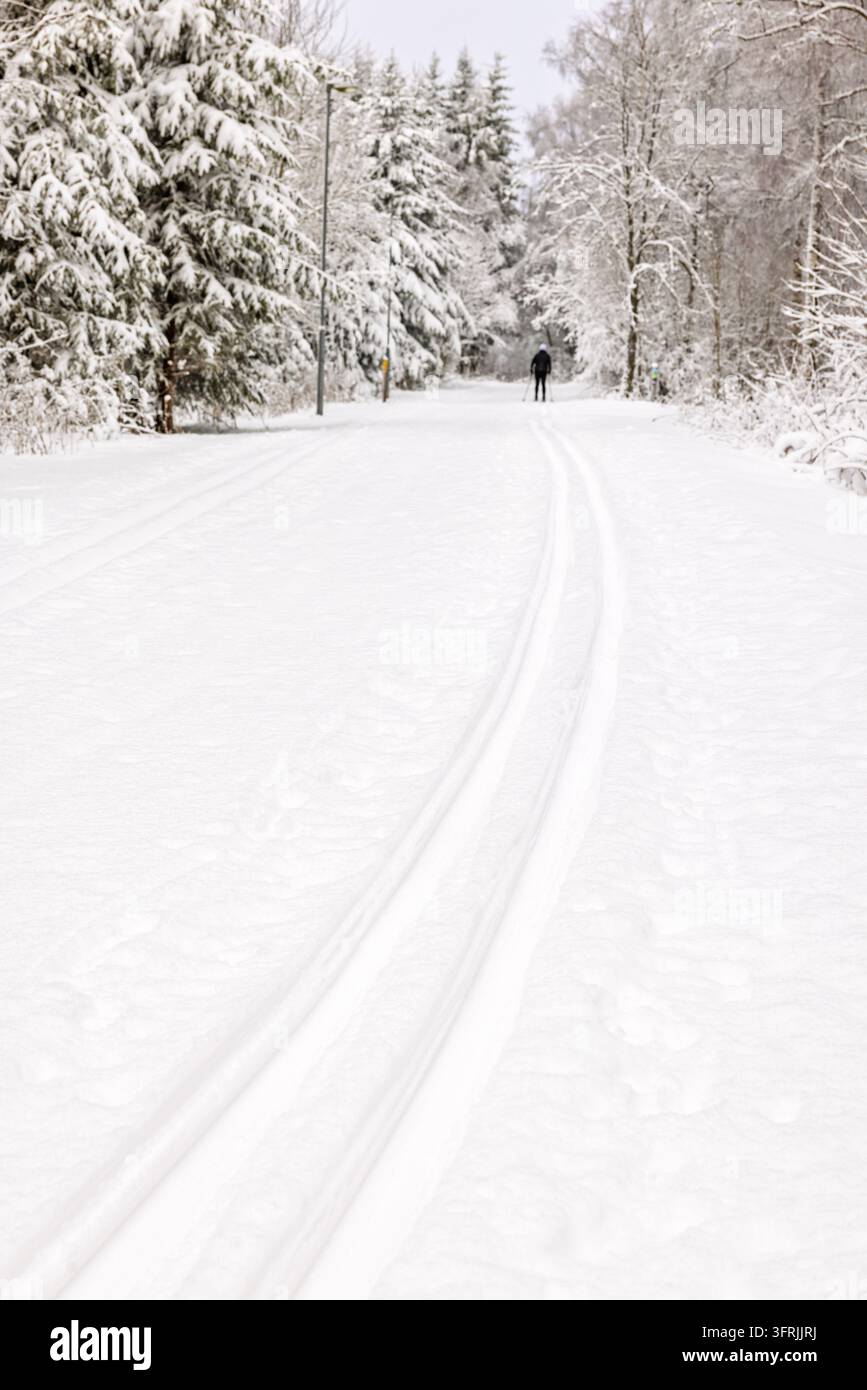 Pistes de ski de fond à travers une forêt enneigée en hiver Banque D'Images