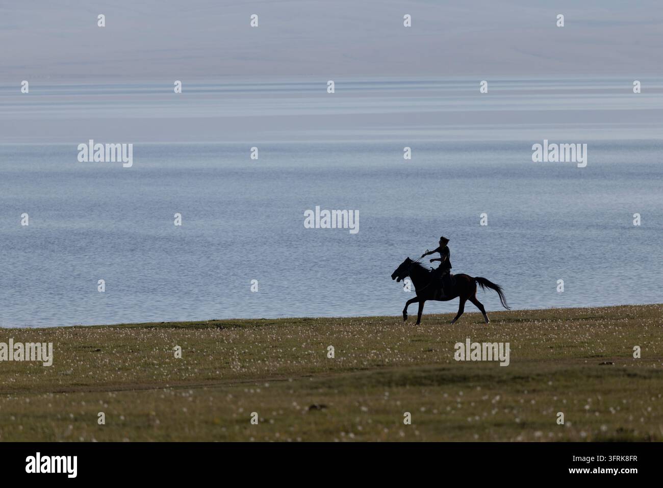 Silhouette d'un cavalier près d'un vaste lac Banque D'Images