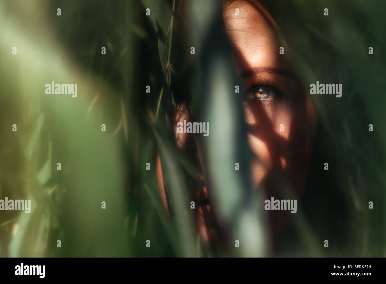 Œil de femme regardant à travers des feuilles vertes luxuriantes Banque D'Images