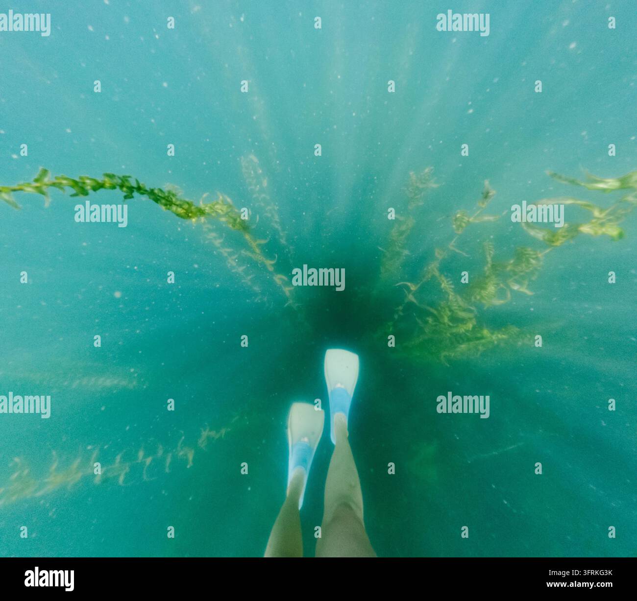 Perspective personnelle de la natation avec des palmes dans l'eau turquoise Banque D'Images