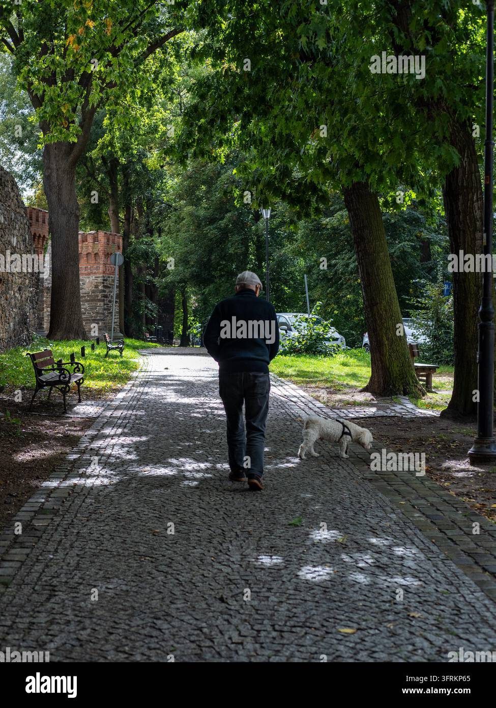 Vieil homme marchant avec son chien dans le parc Banque D'Images