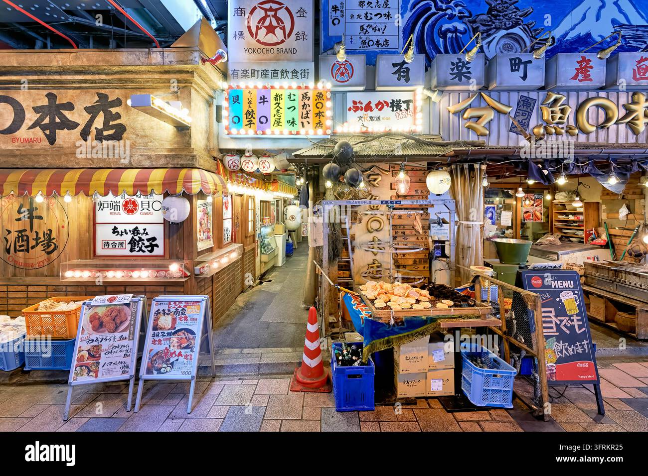 Panneaux d'izakaya illuminés, lanternes et étalage de fruits de mer à l'entrée d'une étroite allée gastronomique Yokocho à Yurakucho, Chiyoda, Japon Banque D'Images