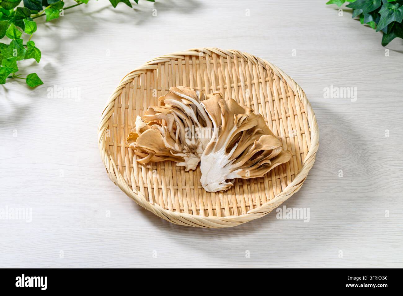 Champignons maitake frais aux chapeaux bruns superposés Banque D'Images