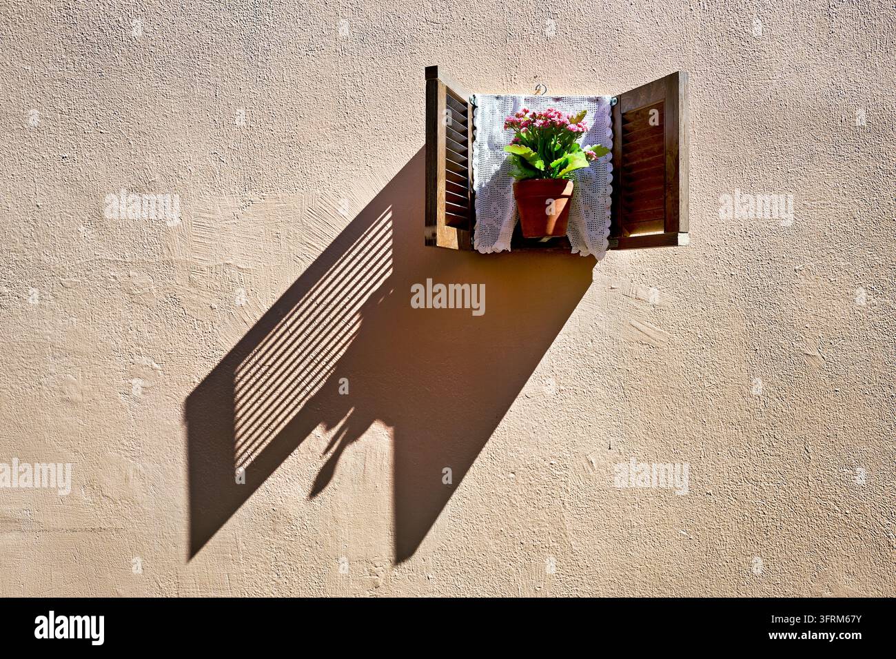 Des volets miniatures en bois encadrent une plante rose en pot et un rideau de dentelle, projetant une longue ombre diagonale sur une façade en stuc baignée de soleil à Athènes, Grèce. Banque D'Images