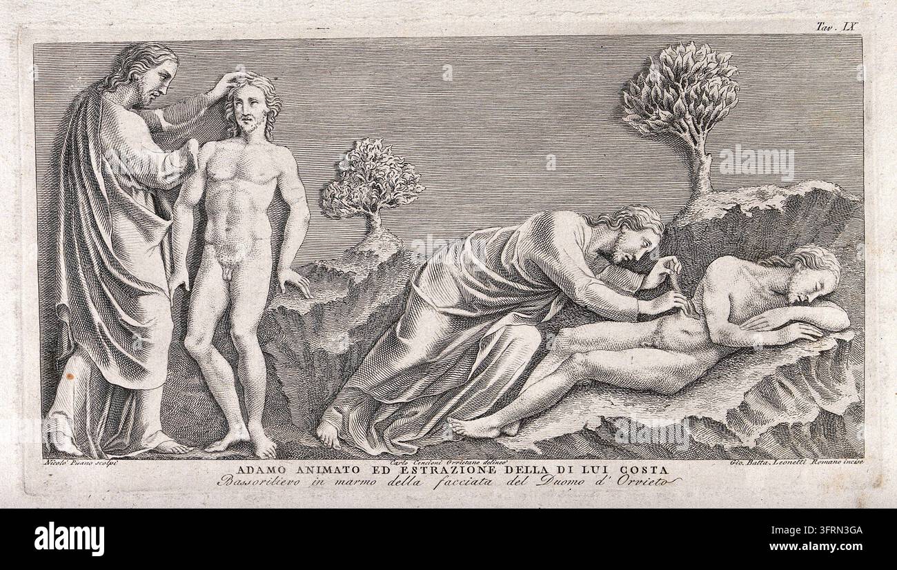 Dieu anime Adam et opère sur sa côte. Gravure de G.B. Leonetti d'après C. Cencioni d'après Nicola Pisano Banque D'Images