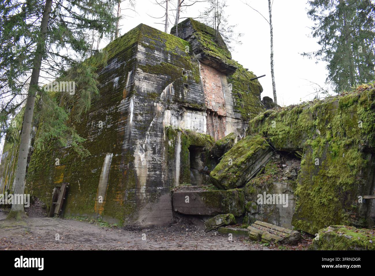 Les ruines du bunker d'Adolf Hitler au Repaire du Loup (Wolfsschanze), son ancien quartier général militaire du front de l'Est, près de Gierłoż et Kętrzyn Banque D'Images
