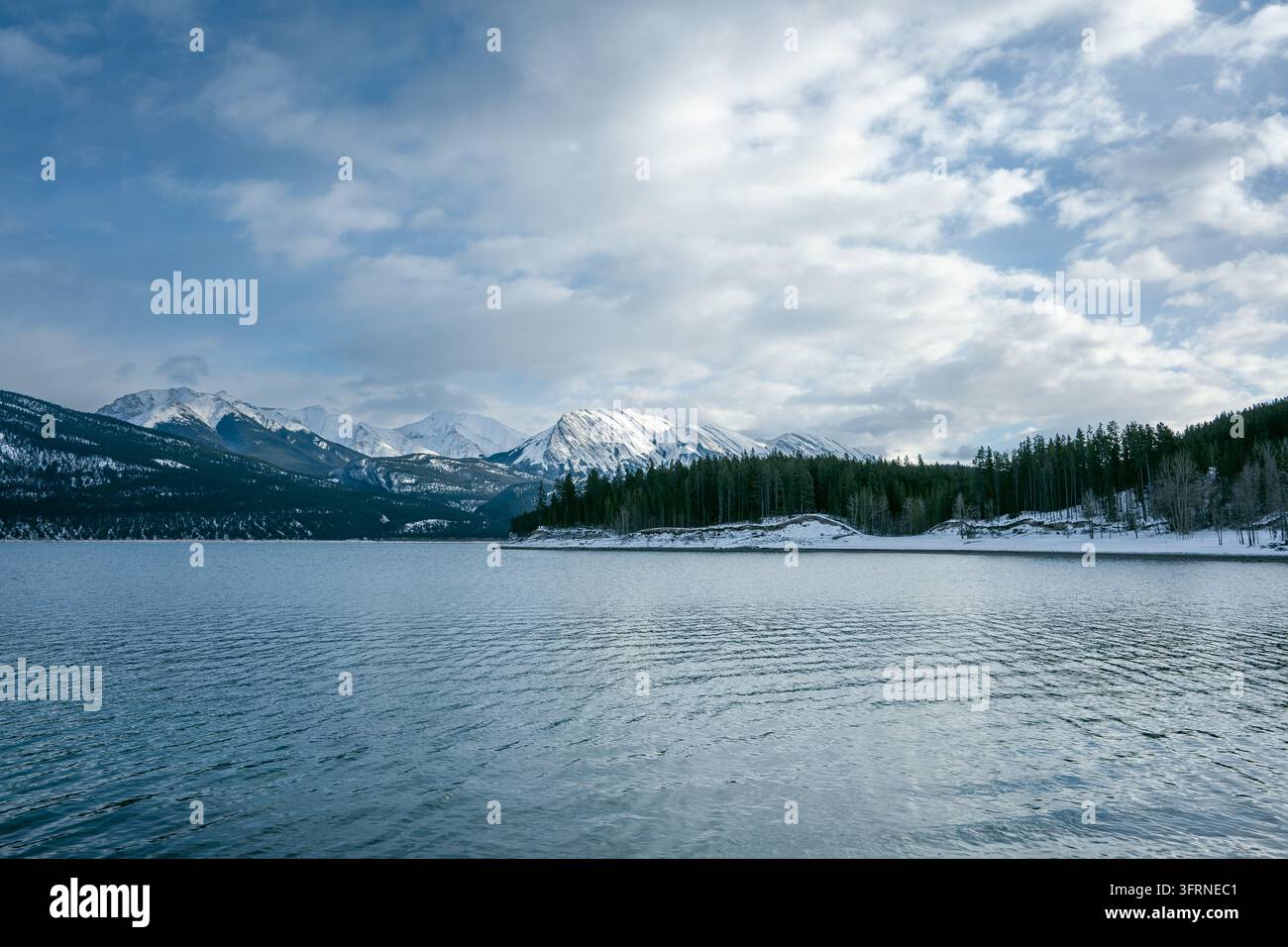 Vue panoramique à hauteur des yeux du lac Abraham en Alberta, Canada, présentant des eaux libres d'un bleu profond, des rives enneigées, une forêt de conifères et des sommets enneigés Banque D'Images