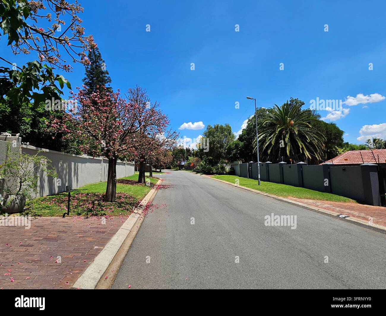 Rue avec un trottoir et une clôture. Des arbres se trouvent sur le trottoir. Il n’y a pas de voitures dans la rue à Johannesburg en Afrique du Sud Banque D'Images
