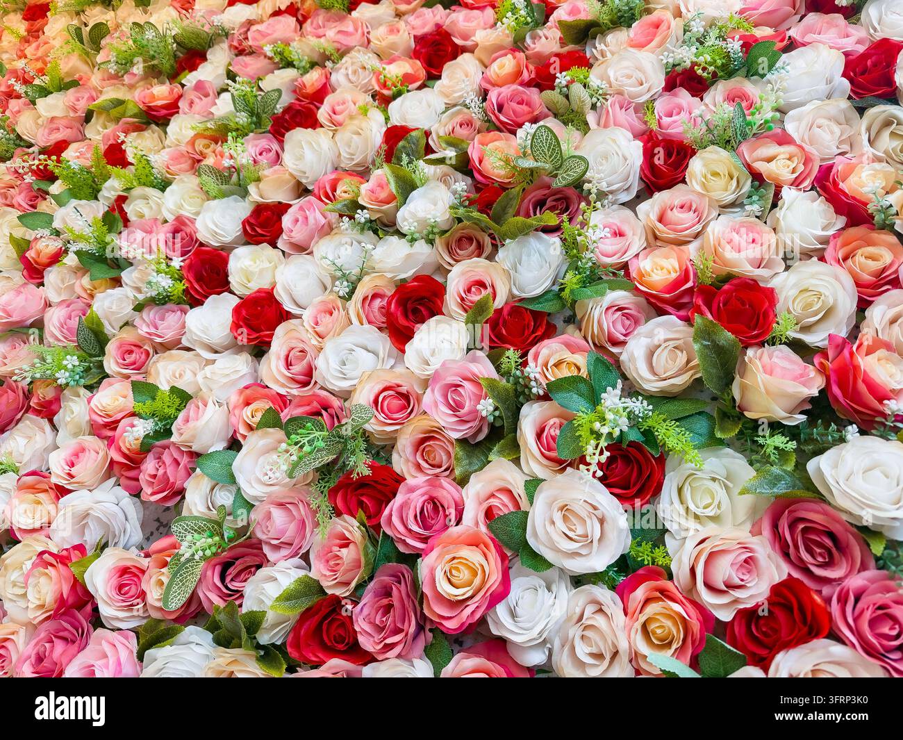 Fond mural de roses artificielles roses, blanches et rouges dans un restaurant Banque D'Images