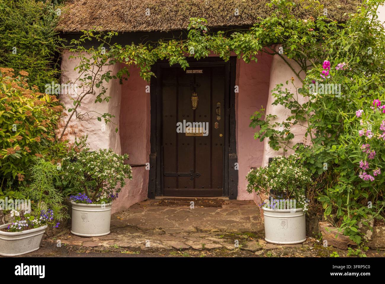 Porte d'entrée d'un charmant cottage en chaume à Dunster, Parc national d'Exmoor, Somerset, Angleterre. Été (juin) 2026. Banque D'Images