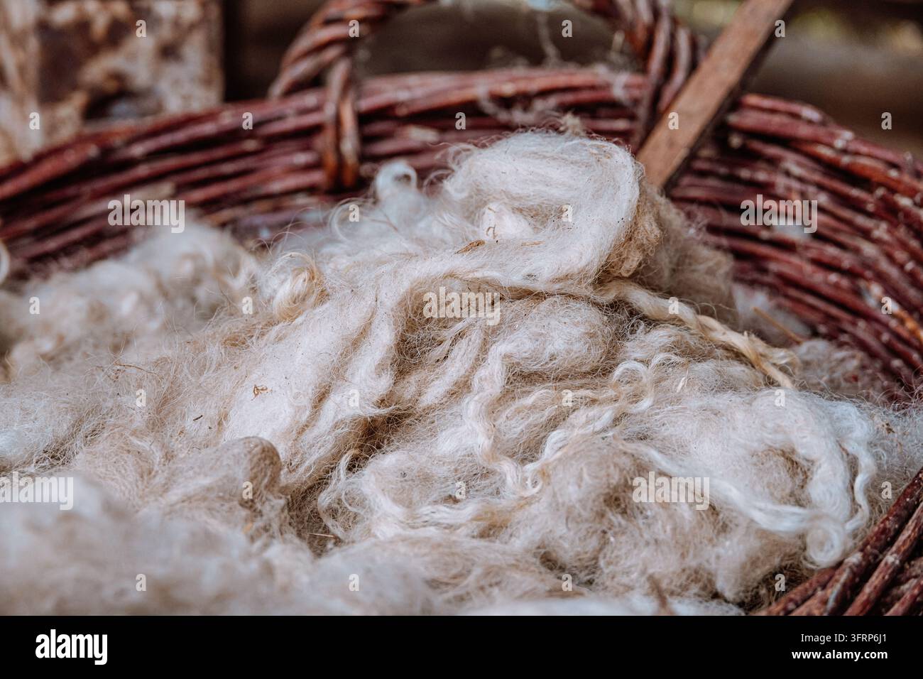 Fibres de laine de mouton naturelles non traitées posées dans un panier en osier traditionnel, montrant une texture organique Banque D'Images