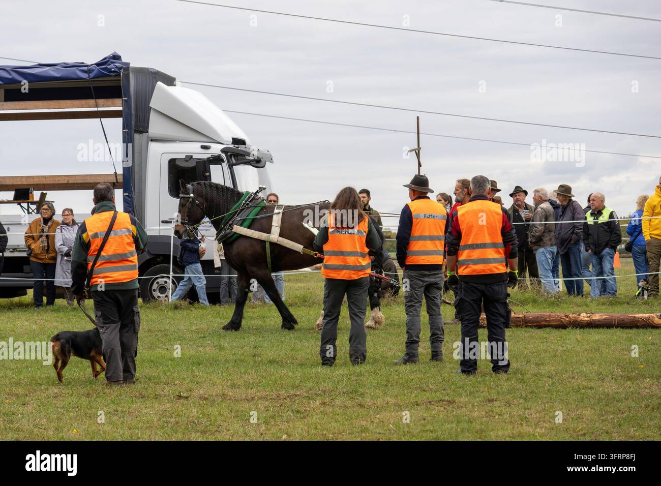 Un cheval de trait se tient avec son guide et ses aides dans une prairie, des spectateurs, un camion et un chien sont également visibles Fuhrmannstag Pliezhausen Banque D'Images