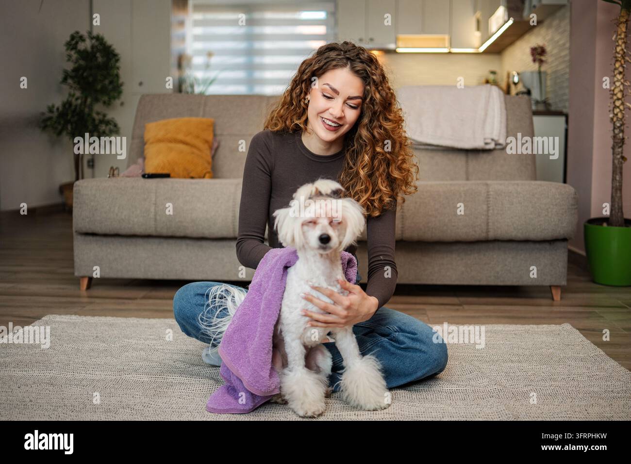 Jeune femme séchant le chien chinois Crested après le bain Banque D'Images