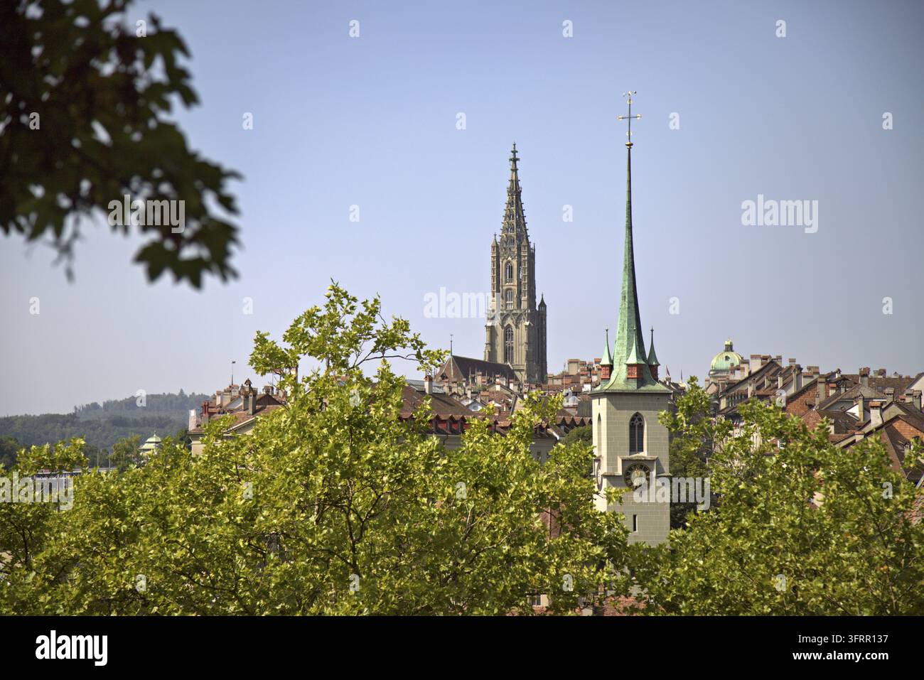 Les flèches du monastère de Berne et de l'église Nydegg s'élevant au-dessus des toits de la vieille ville de Berne et des arbres verts Banque D'Images