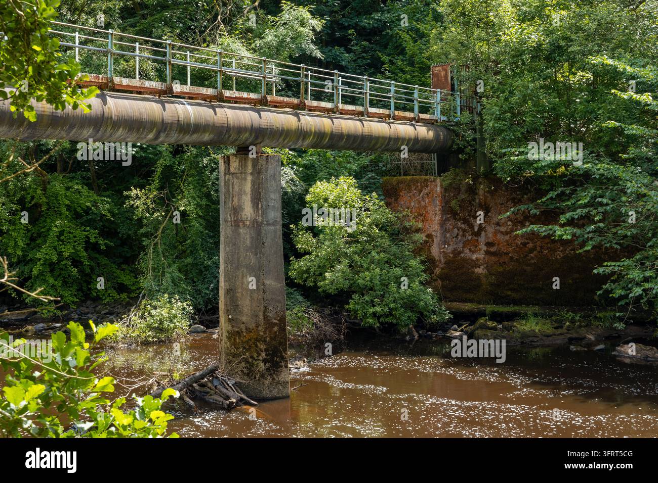 Tuyau d'égout de grand diamètre corrompu porté sur un pieu en béton traversant une rivière aux eaux brunes, avec une rambarde de sécurité en métal au-dessus et une forêt feuillue verte dense Banque D'Images