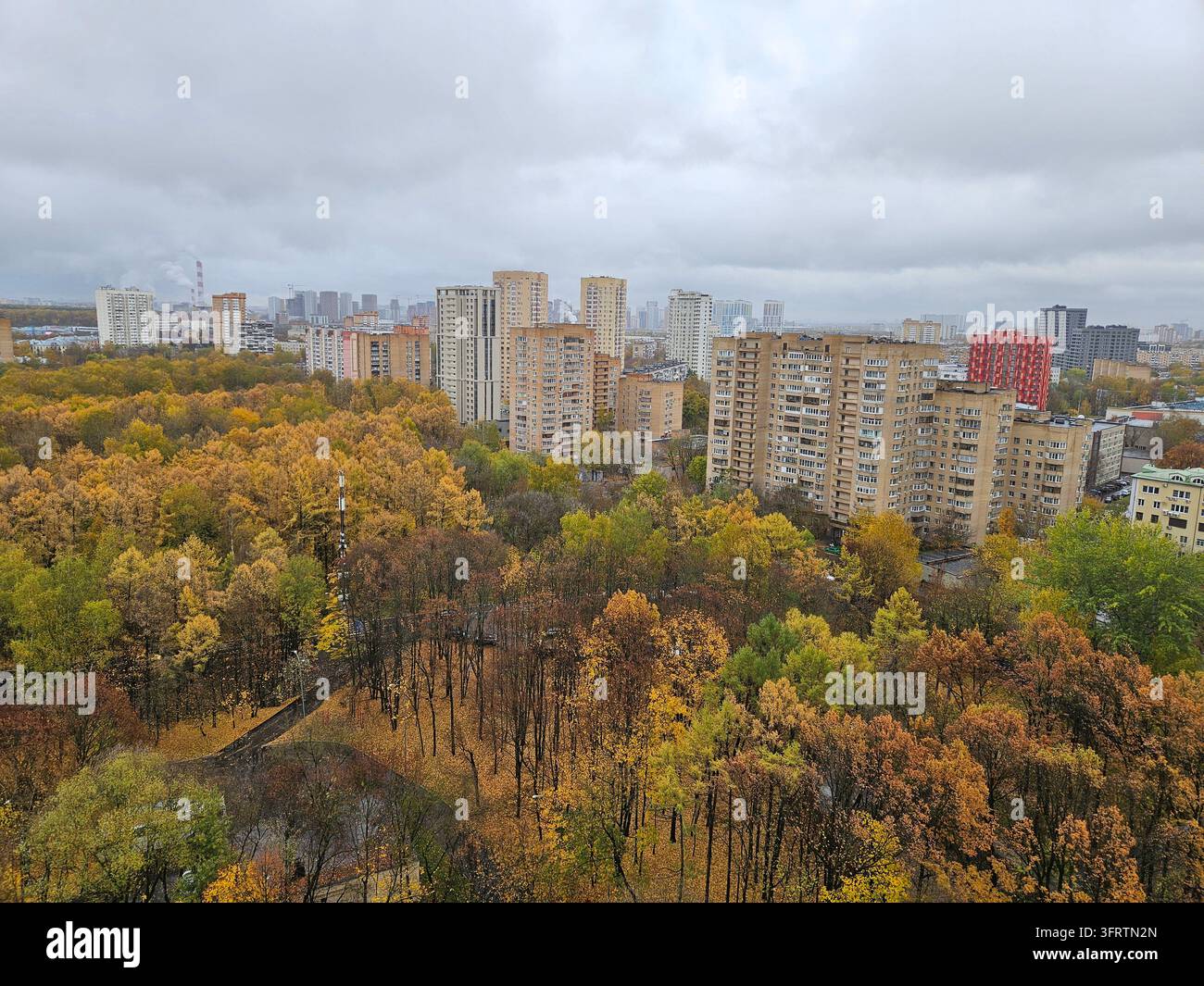 Les arbres d'automne brillent de teintes dorées. Les blocs de la ville s'élèvent derrière les collines boisées. Un ciel nuageux diffuse une lumière douce et diffuse. Le paysage urbain rencontre le changement saisonnier de la nature Banque D'Images