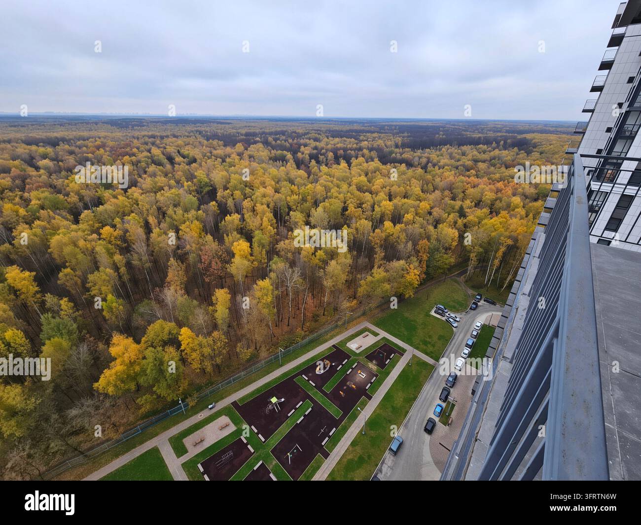 Vue aérienne d'une forêt et d'un jardin d'automne. Les arbres affichent des teintes dorées et jaunes. Des parterres de jardin géométriques se trouvent en dessous. Une structure moderne encadre la scène. Ciel dégagé au-dessus, de doux nuages dérivent Banque D'Images