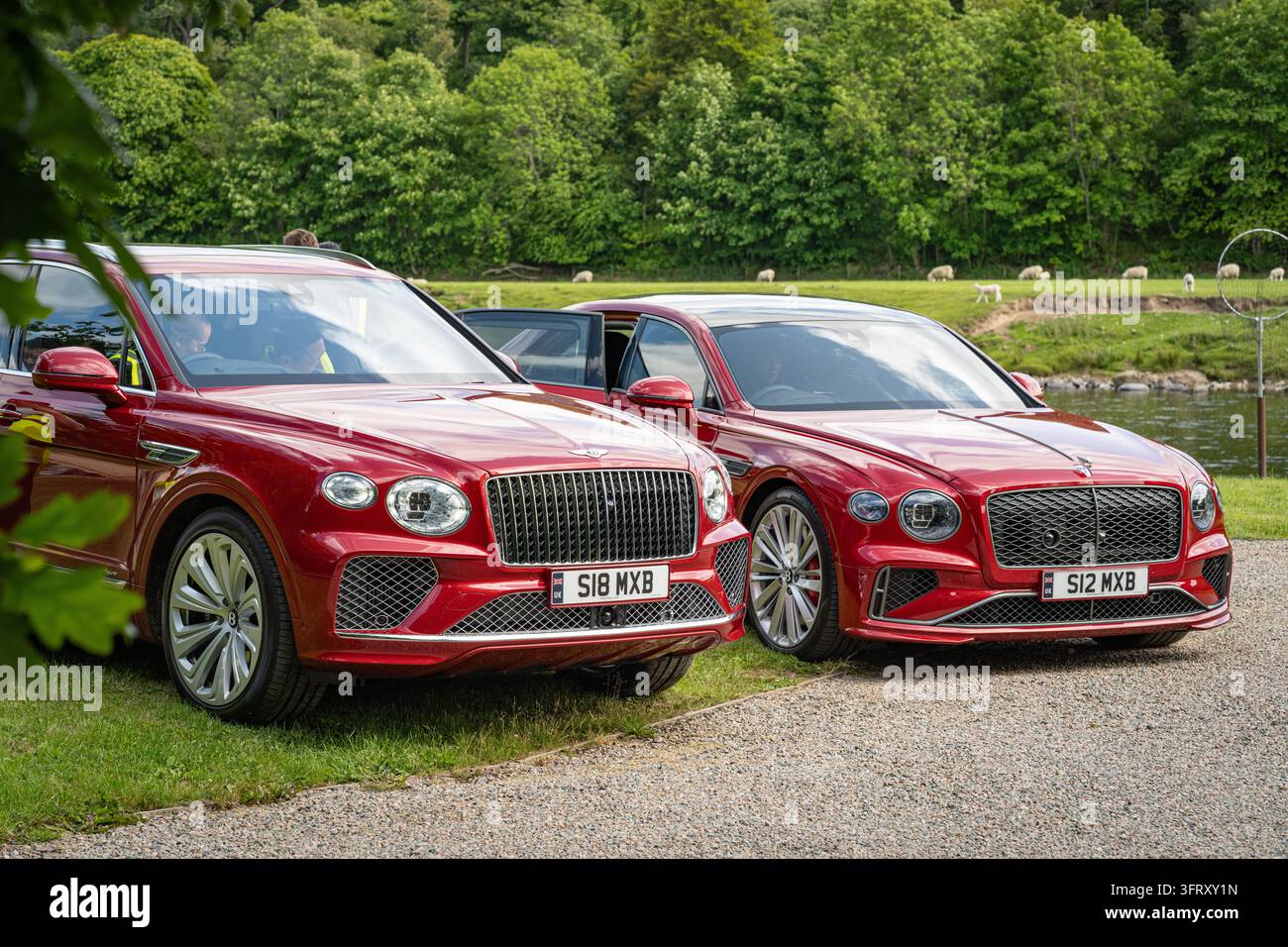 Bentley Bentayga et Flying Spur rouges utilisés pour transporter les invités autour du domaine de The Macallan près de la rivière Spey, Speyside, Écosse, Royaume-Uni Banque D'Images