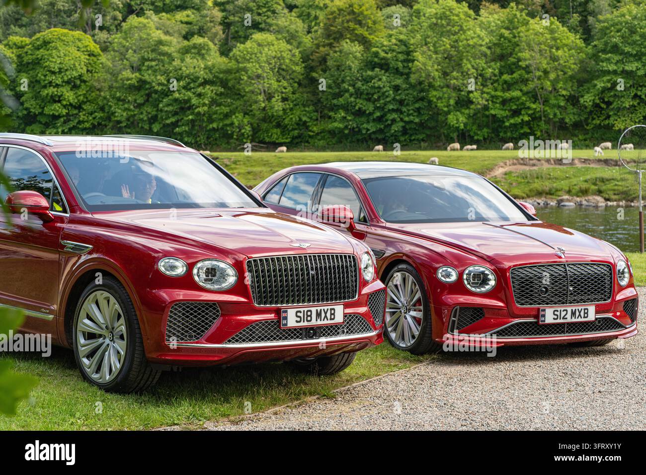 Bentley Bentayga et Flying Spur rouges utilisés pour transporter les invités autour du domaine de The Macallan près de la rivière Spey, Speyside, Écosse, Royaume-Uni Banque D'Images