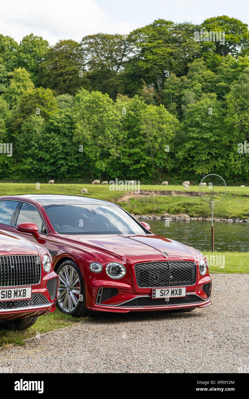 Bentley Bentayga et Flying Spur rouges utilisés pour transporter les invités autour du domaine de The Macallan près de la rivière Spey, Speyside, Écosse, Royaume-Uni Banque D'Images