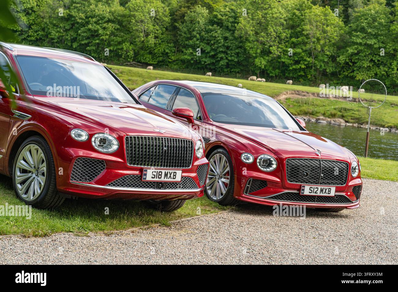 Bentley Bentayga et Flying Spur rouges utilisés pour transporter les invités autour du domaine de The Macallan près de la rivière Spey, Speyside, Écosse, Royaume-Uni Banque D'Images
