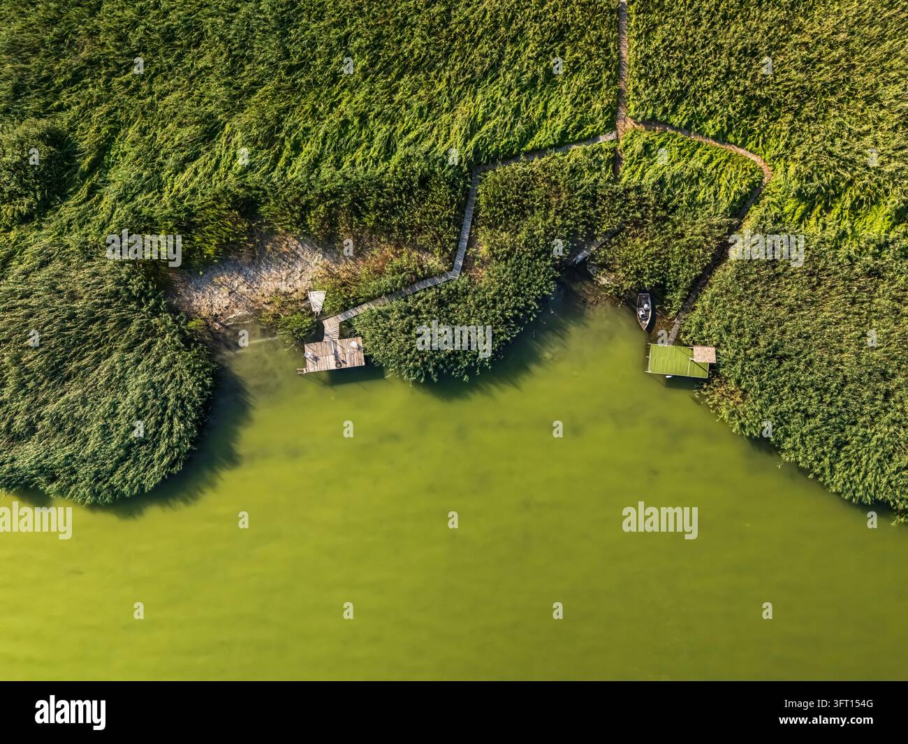Vue aérienne de jetées de pêche bordées de roseaux et d'un petit bateau sur le lac Balaton près de Balatongyorok, Hongrie, avec des passerelles en bois, une eau verte et un été Banque D'Images