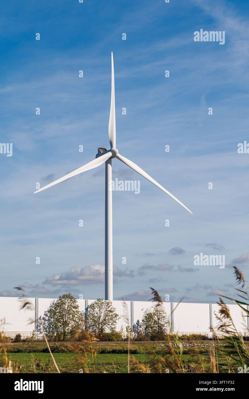 Éolienne centrée contre un ciel bleu avec un bâtiment industriel blanc et des arbres d'automne en arrière-plan. Banque D'Images