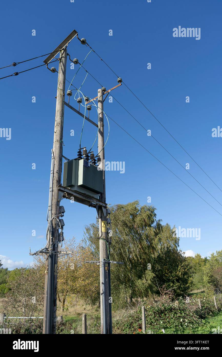 Poste électrique monté sur poteau en lisière de forêt. Banque D'Images