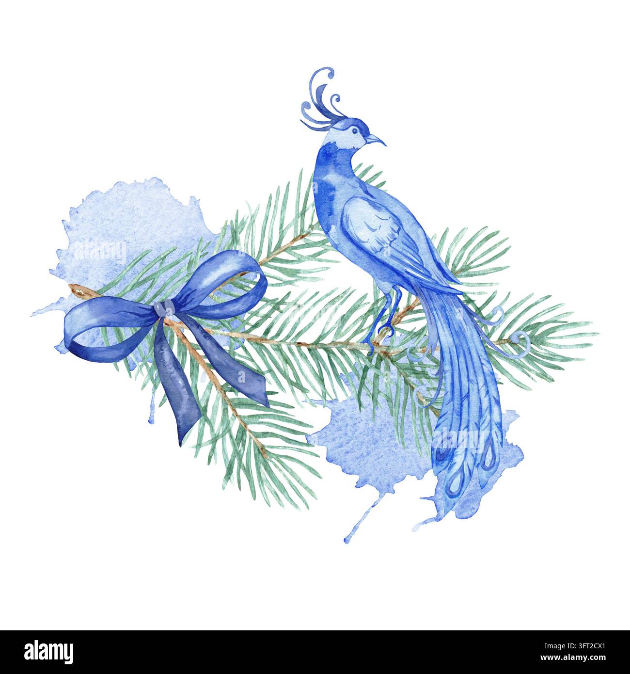 Oiseau exotique bleu peint à la main avec une longue queue perché sur une branche de sapin avec un nœud en satin et des éclaboussures d'aquarelle. Clipart d'hiver chinoiserie pour cartes et Banque D'Images