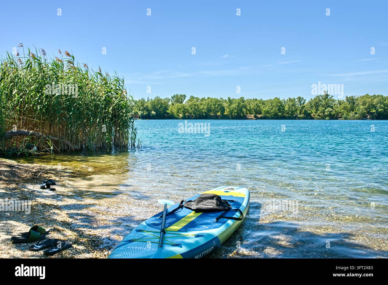 Une photographie de paysage paisible mettant en scène une planche de paddle SUP bleue et jaune reposant sur la rive peu profonde d'un lac, entourée de roseaux verts Banque D'Images
