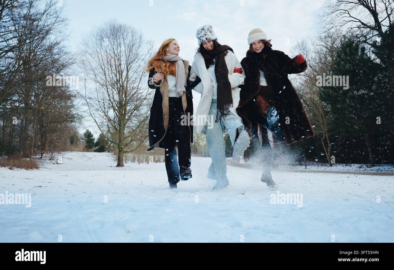 Des femmes marchent dans la neige d'un parc d'hiver, partageant des rires avec des amis lors d'une sortie en plein air. Les manteaux, écharpes, chapeaux et gants ajoutent une touche de mode hivernale Banque D'Images