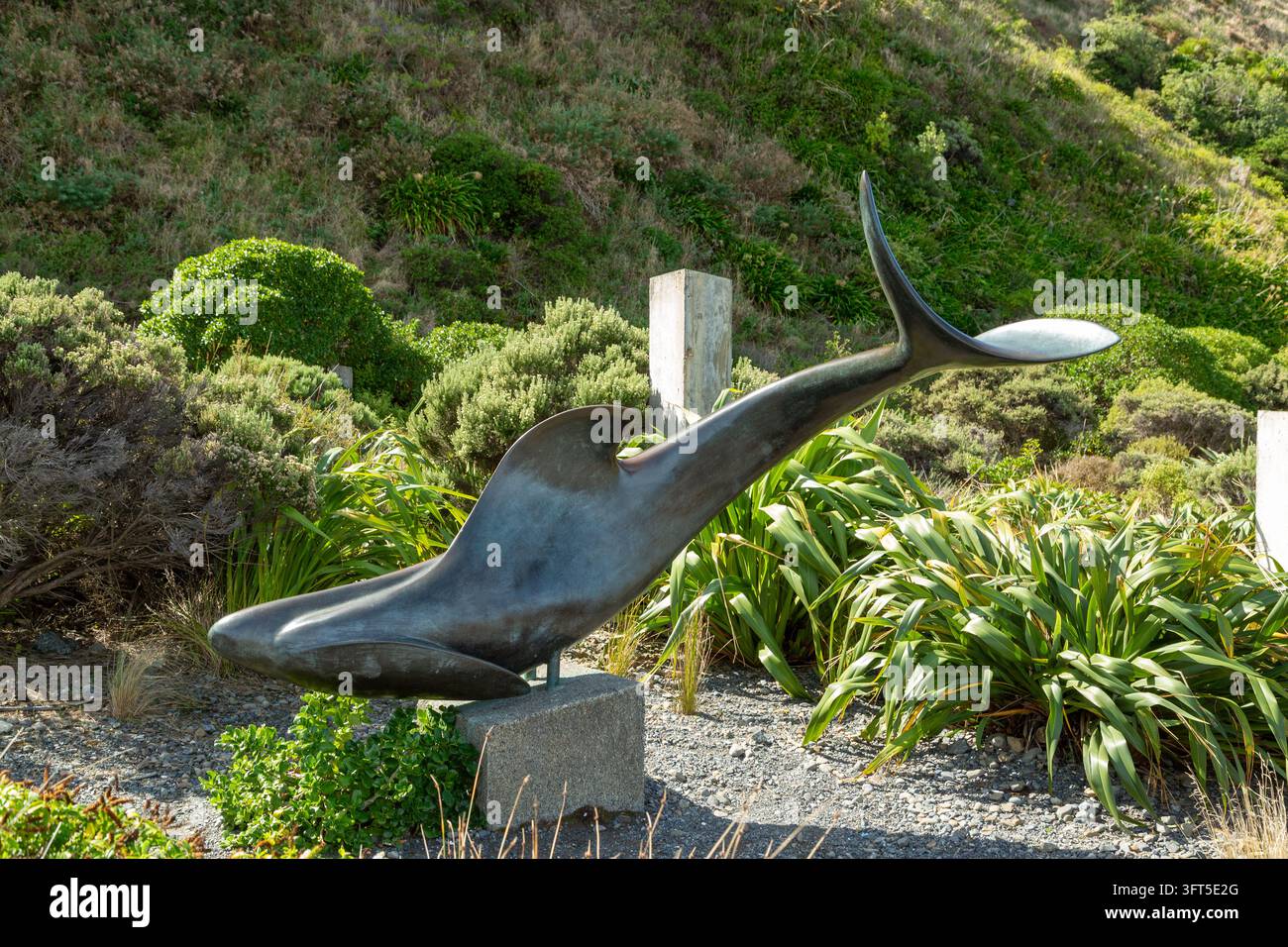 Une sculpture en bronze d'un requin (Frenzy) par Colin Webster-Watson à l'extérieur de l'entrée de la réserve de Te Kopahou, réserve de Te Kopahou, Wellington, Nouvelle-Zélande Banque D'Images