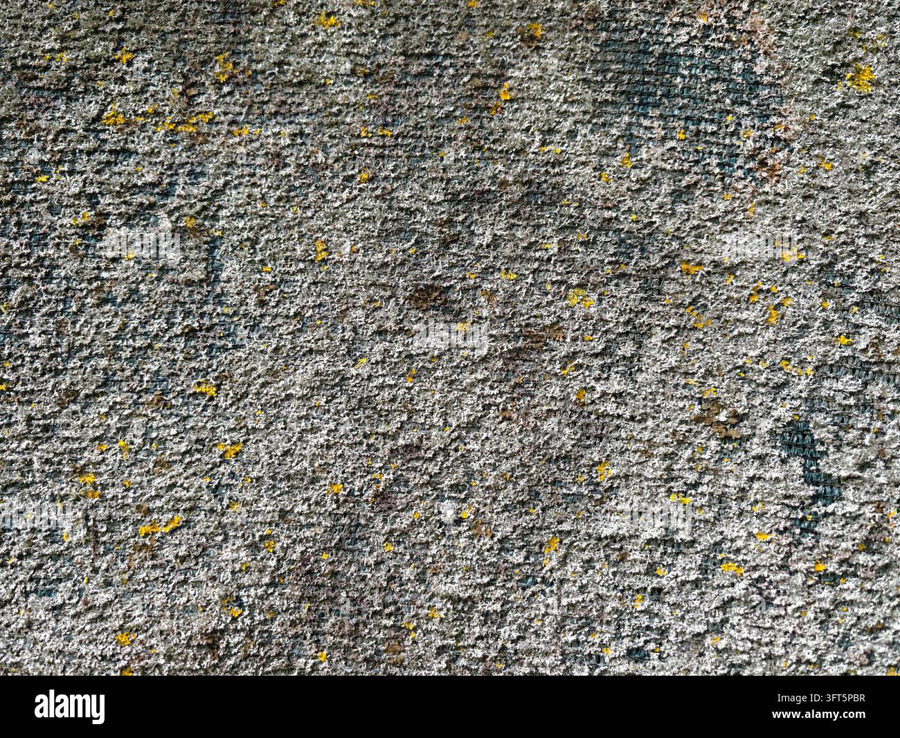 Surface rugueuse de mur en béton gris remplie de grains vieillis, de taches moulées et de légères marques de lichen, créant un fond abstrait neutre avec une n rugueuse Banque D'Images