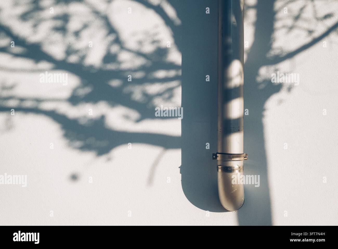 Tuyau de descente métallique monté sur un mur blanc avec des ombres douces de branches d'arbres projetées à la surface. Mise au point sélective. Banque D'Images
