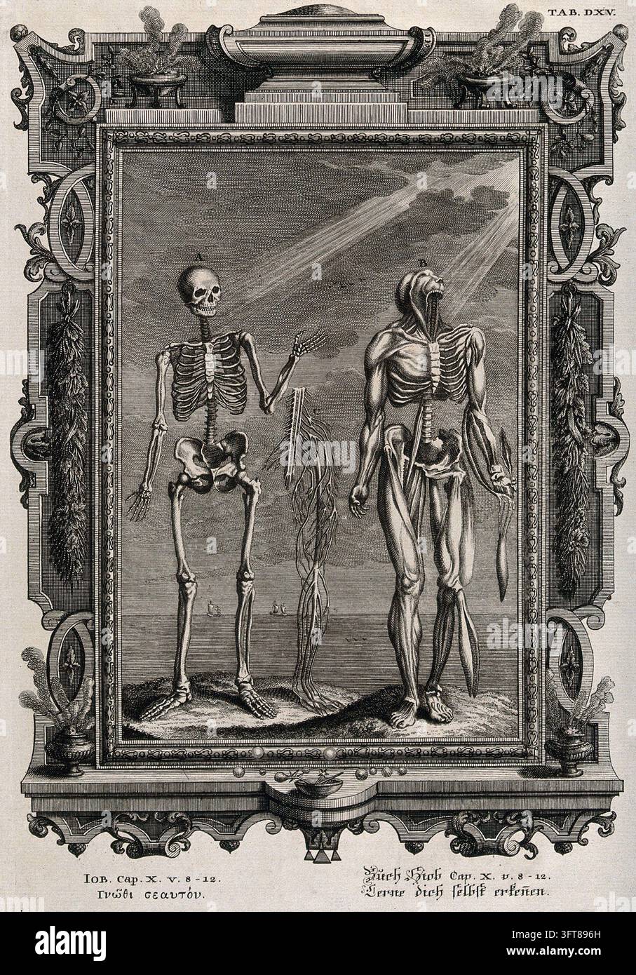 Figures anatomiques sur une falaise au bord de la mer, leurs têtes éclairées par la lumière. Gravure à l'eau-forte et aquatinta par B. Probst, 1735 Banque D'Images